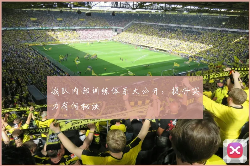 战队内部训练体系大公开，提升实力有何秘诀